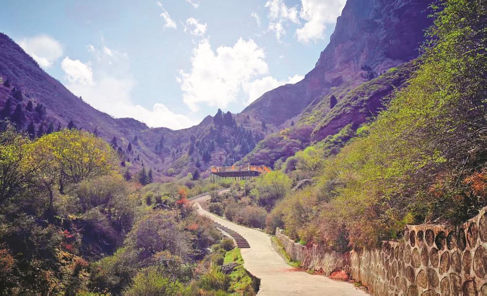 登岗山之巅赏丹霞林海
