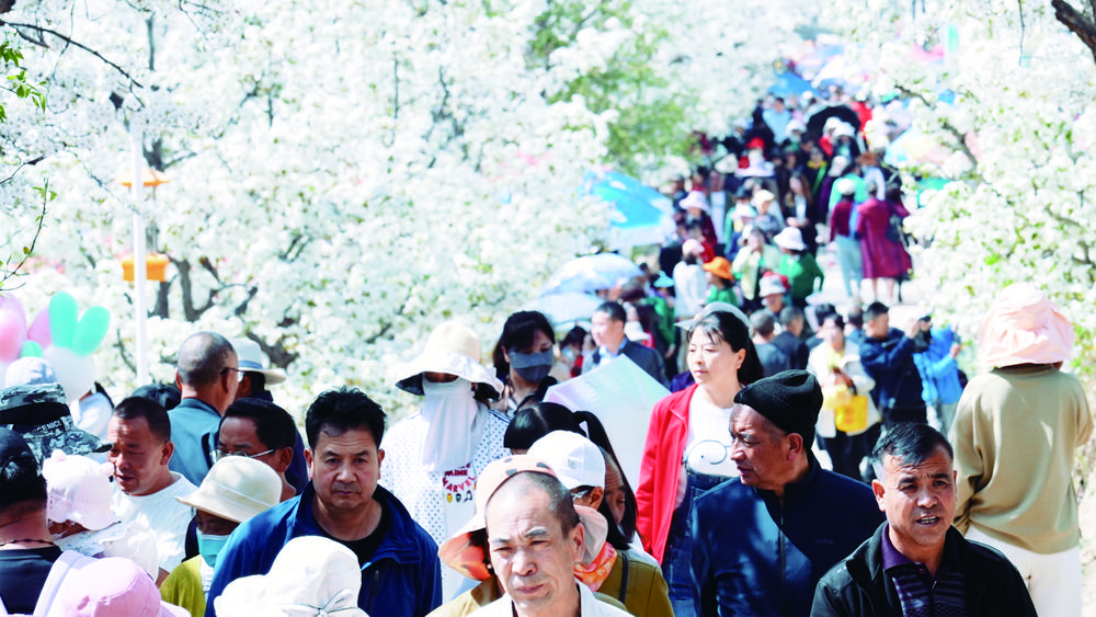 海东：一路“繁花”催热“春游经济”